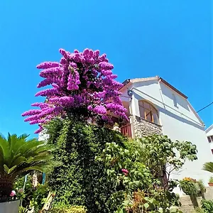 Nada Sali